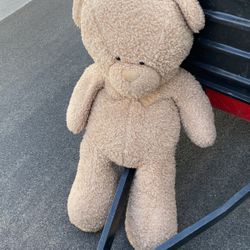 3 Ft X 2 Ft Teddy Bear Jumbo
