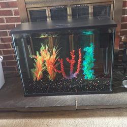 Brand New Beautiful 40 Gallon Aquarium 
