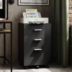 3 Drawer Mobile File Cabinet $40 