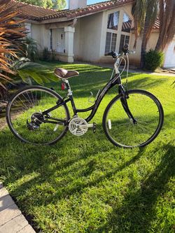 Adult  Trek Bike