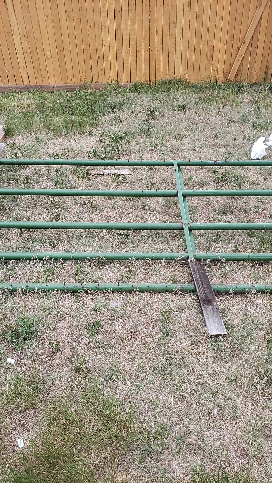 Cattle gate 12 ft
