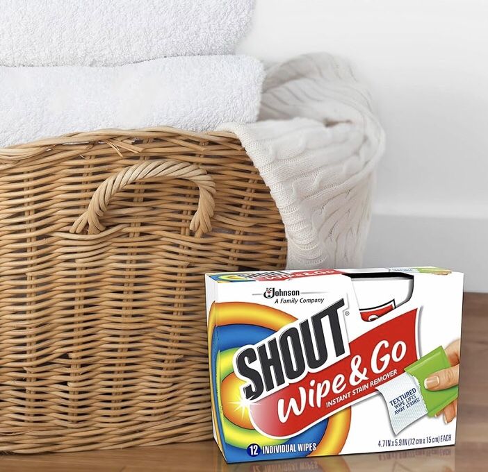 Brand New SHOUT Wipe & Go- 6 x 12 Count; 72 Total (still sealed in box !)