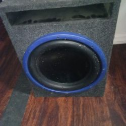 12in. Almani Subwoofer With Box