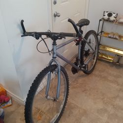 Raleigh Mountain Bike (26")
