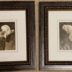 Stunning Set of 2 Framed Floral Art Prints (Black & White/Sepia Tones)
