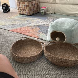3 cat beds