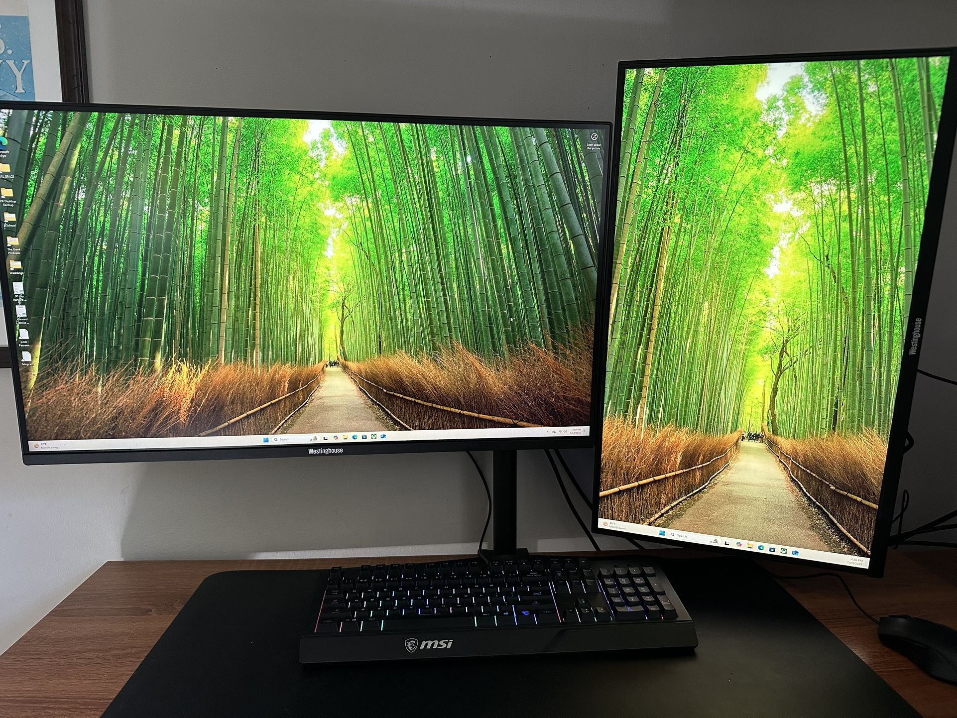 Dual Monitor PC Gaming Setup