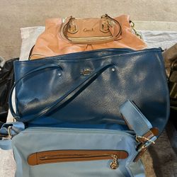 Purse Collection 