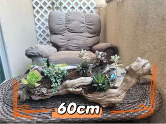 Driftwood Succulent Planter – Handmade Natural Wood Arrangement