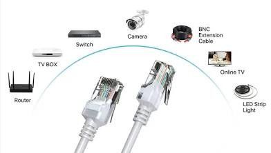 Cat 5 Wiring $100 Flat Up To 100 Ft