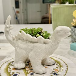 🔥 🔥 High Quality Ceramic Dino Planter 🦖 W Baby Succulents Bunch 🪴 