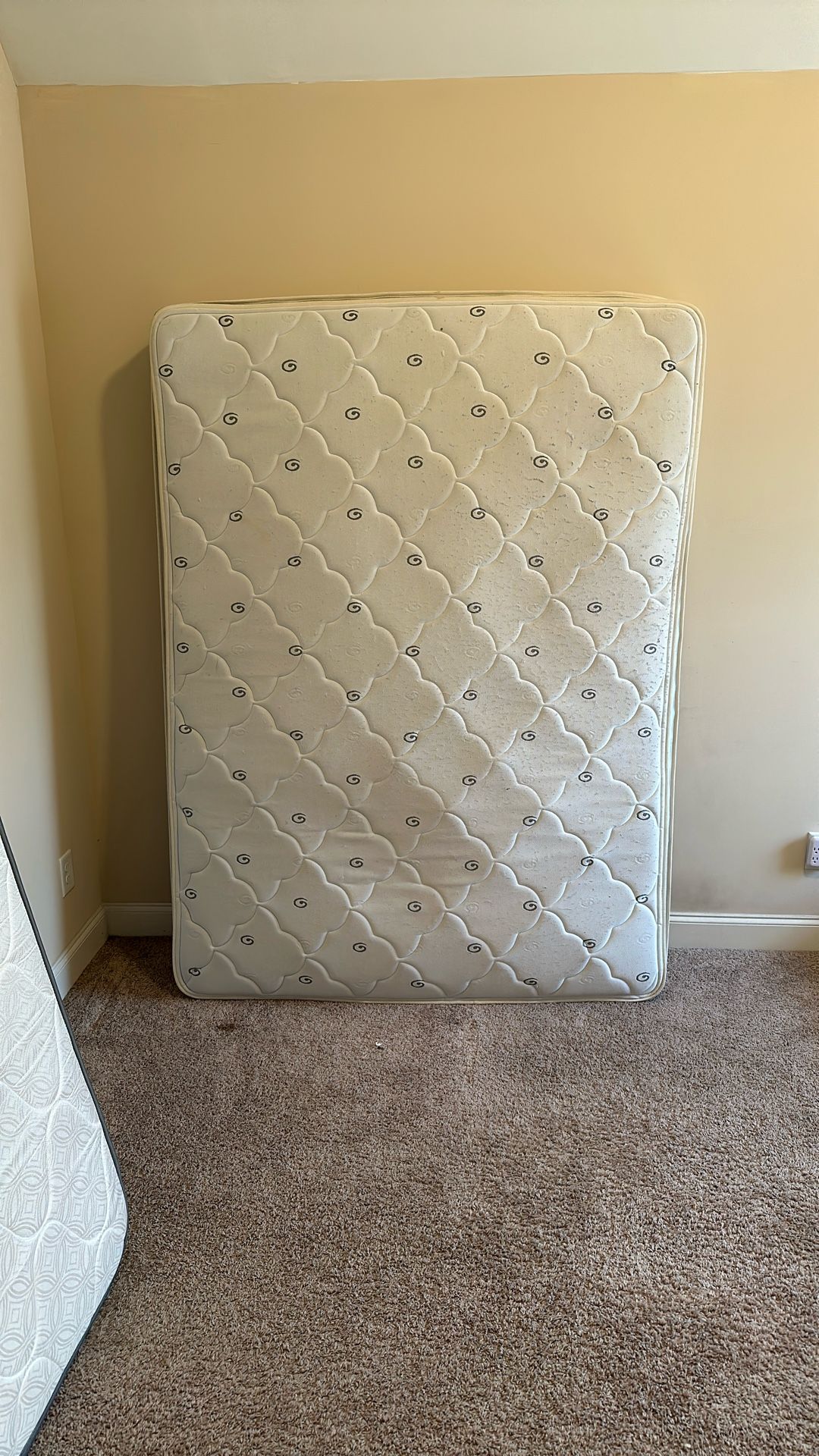 3 Queen Mattresses
