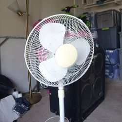 Standing Oscillating Fan