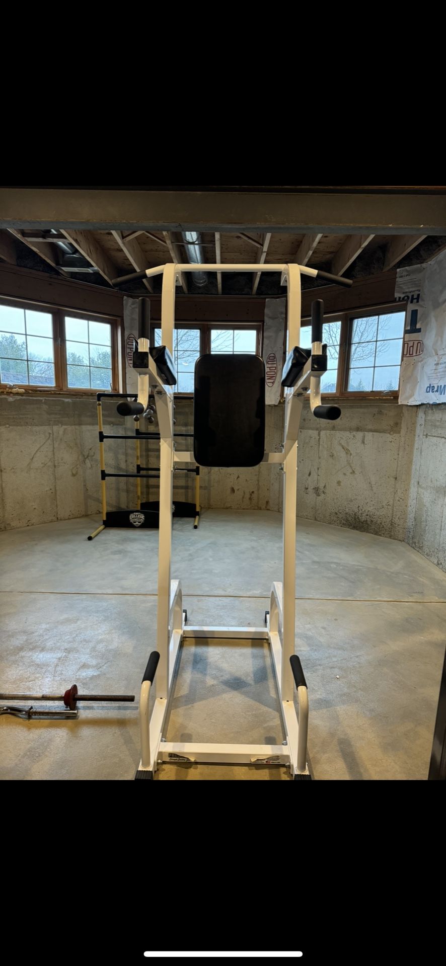 Vertical knee raise dip station 