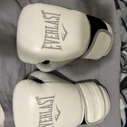 Everlast Pro Style Training Boxing Gloves For Adults 