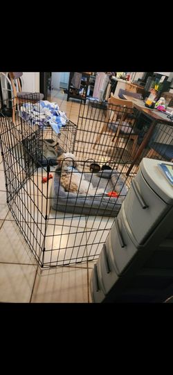 Doggy crate and enclosure