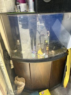 Salt Water Fish tank