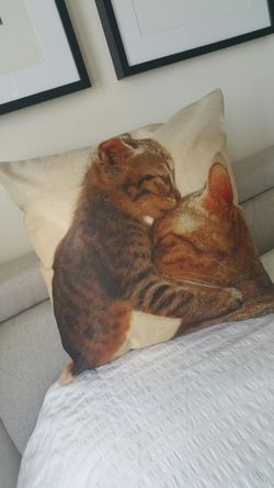 Pillow Chair Couch Sofa Bed