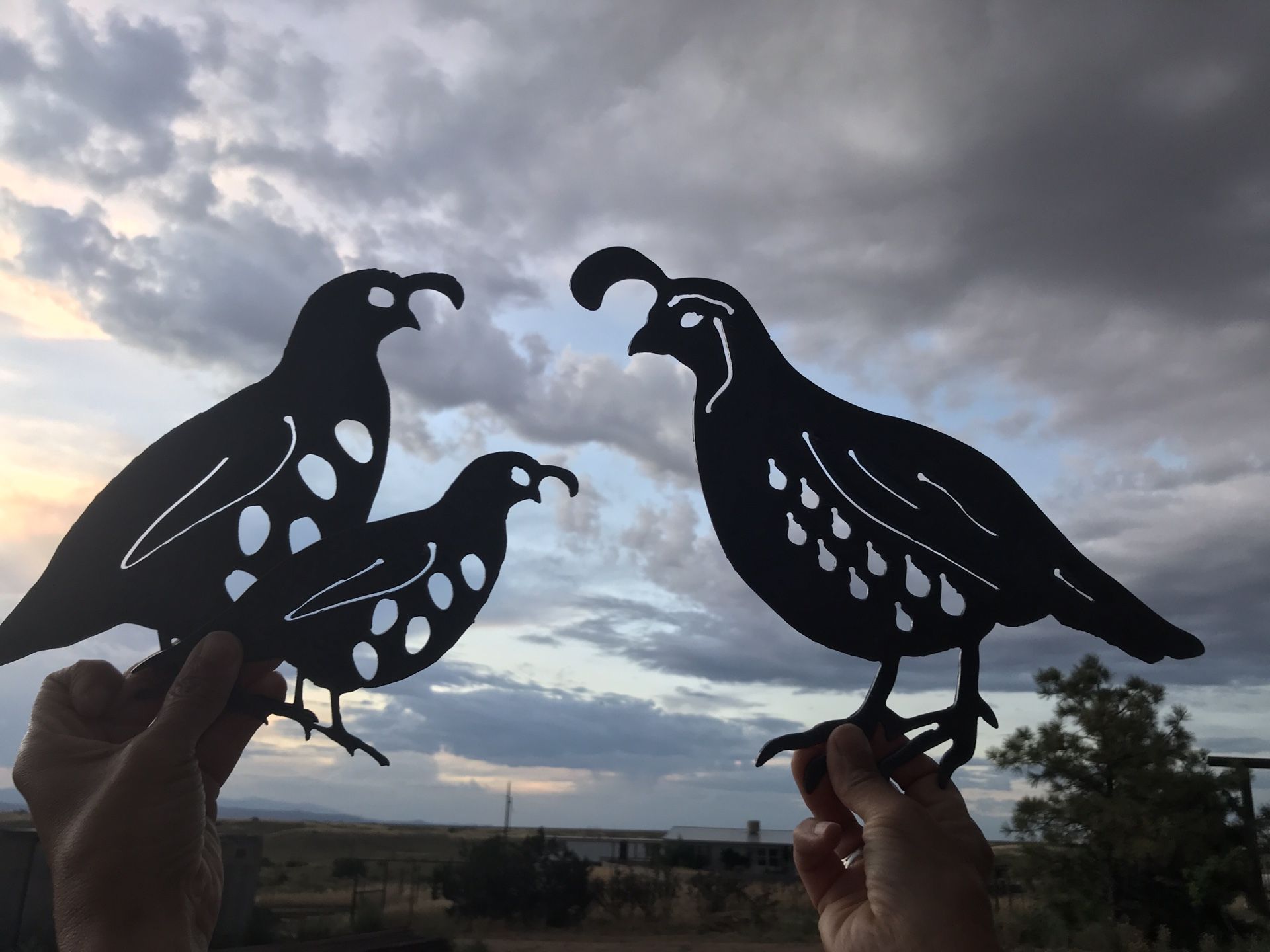 Steel Silhouettes $1 per inch