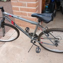 Roadmaster 18 Speed Men's Bike
