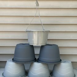 Hanging Baskets