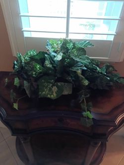 Home Greenery Decor