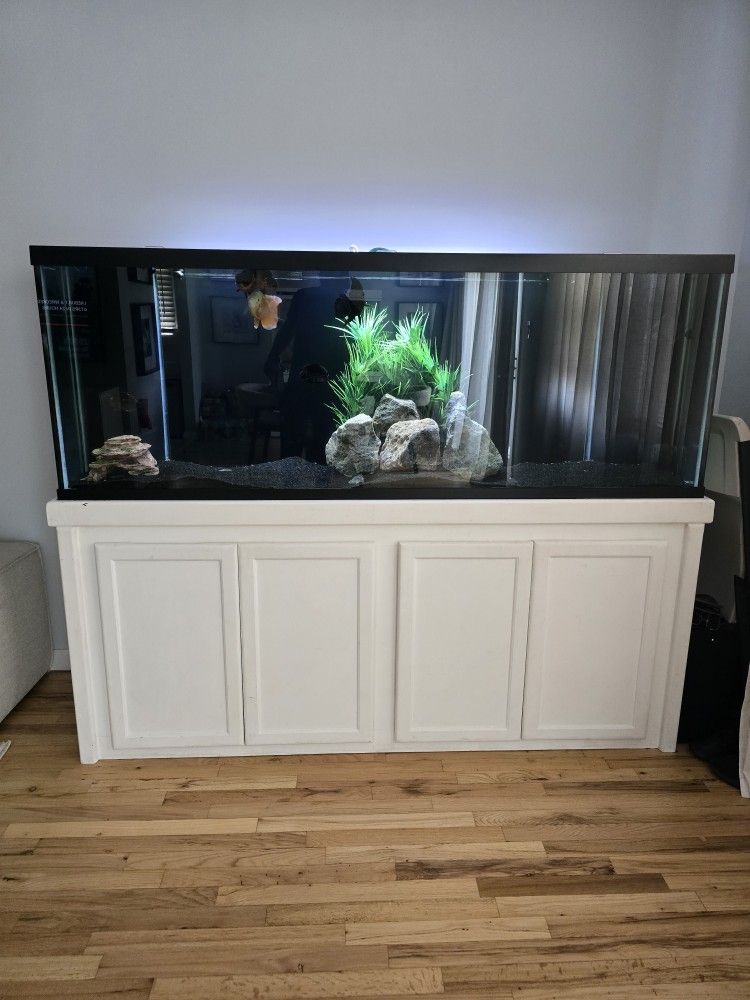 160 Gallon Tank For Sale With Stand And Sump And All Plumbing