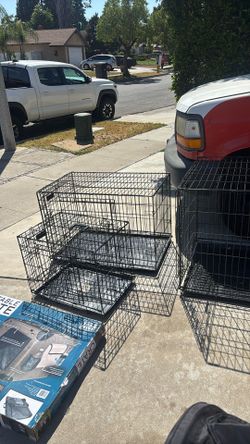Dog Kennel
