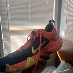 Giannis basketball shoe size 11