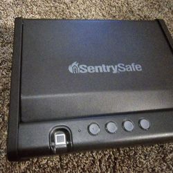 SentrySafe BIOMETRIC Pistol SAFE 