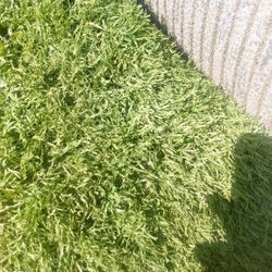 Big ARTIFICIAL GRASS SALE!