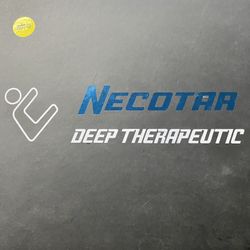 Necotar 1 Pro Percussion Rechargeable Massage Gun
