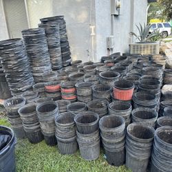 3 Gl Pots 3 For $1
