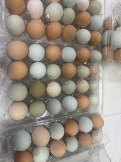 Huevos Frescos