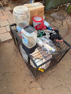 Dog stuff  best offer