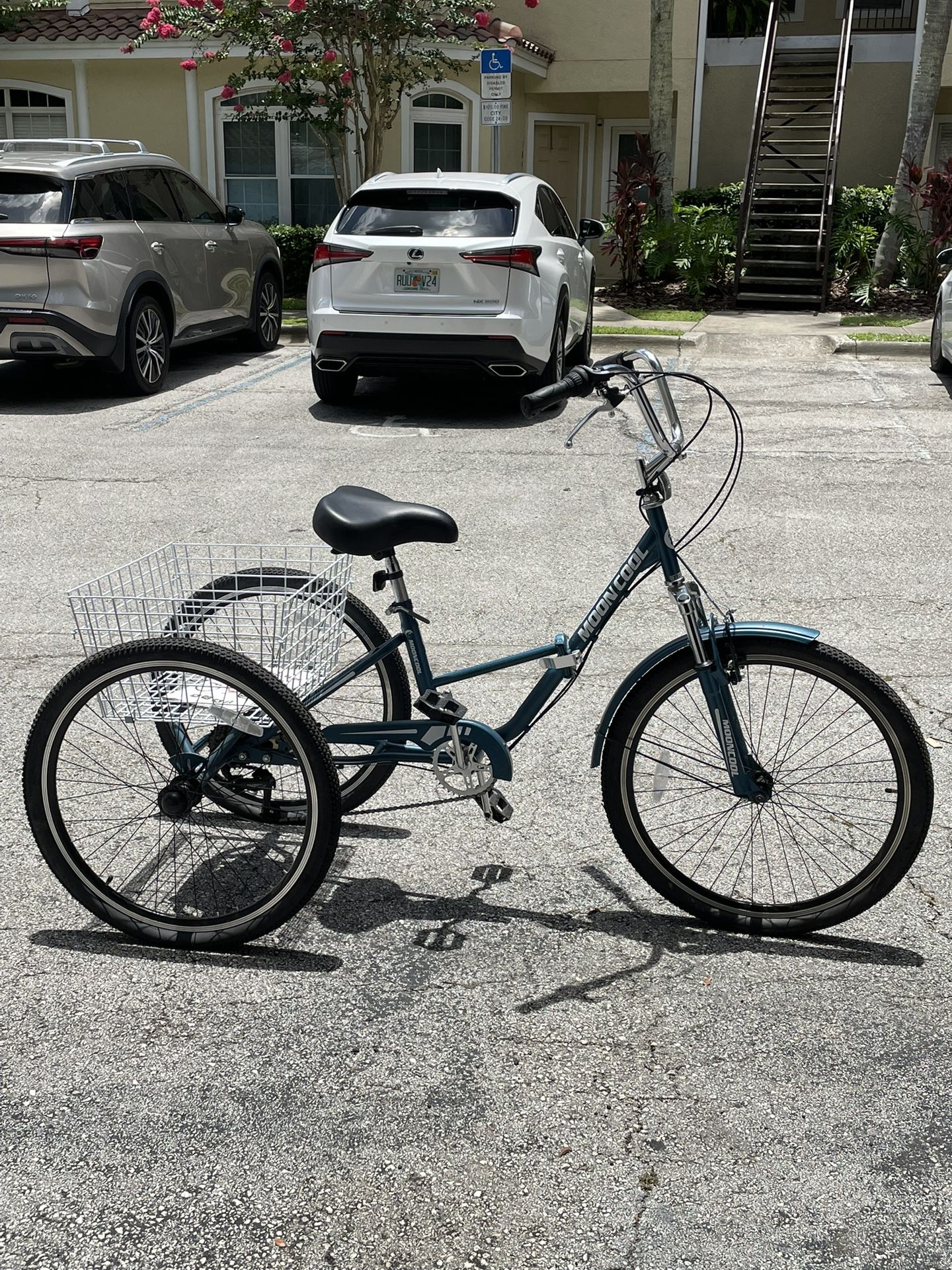 Adult Tricycle
