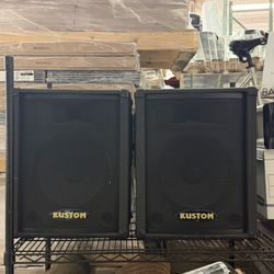 2 PA Speakers  with Horns