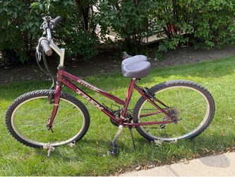 Trek bike
