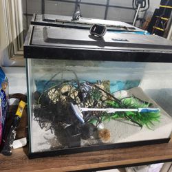 20 Gallon Fish Tank