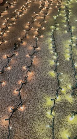 100-Count 20-ft Christmas Lights x6