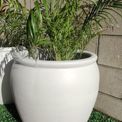 Terracotta Large Planters 2 For $120 FREE Delivery In SD