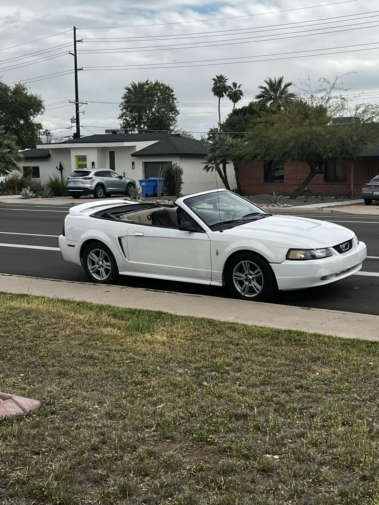 2000 Ford Mustang