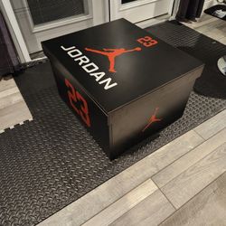 Giant Jordan Storage Shoe Box 