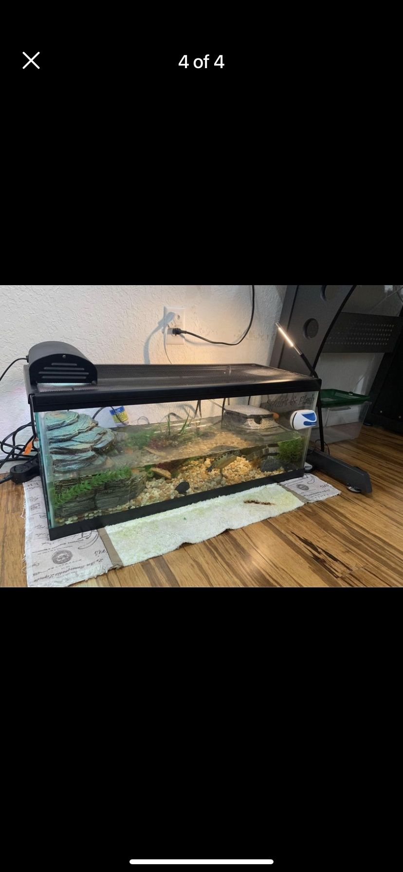 Turtle Tank Complete Setup