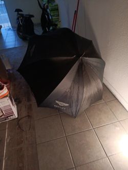 Bently Umbrella