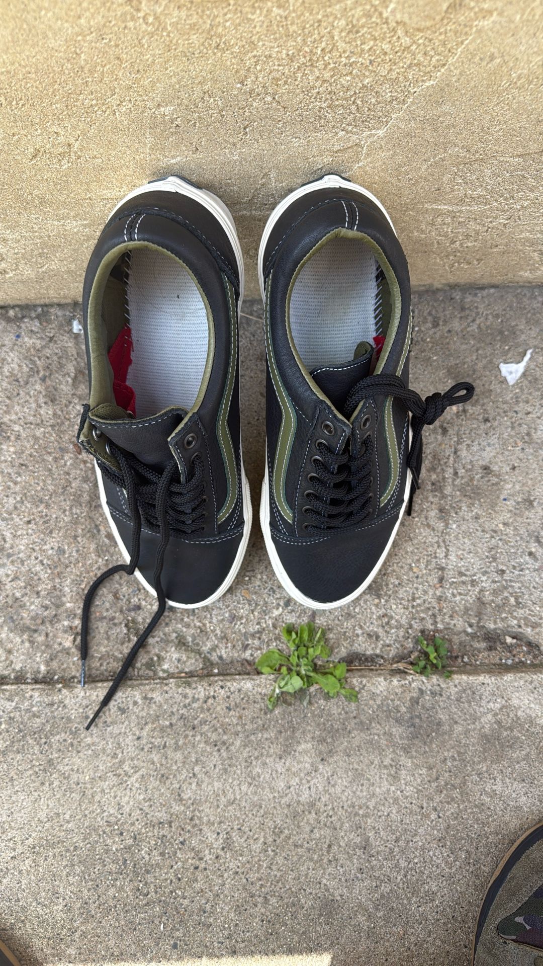 Brand New Vans