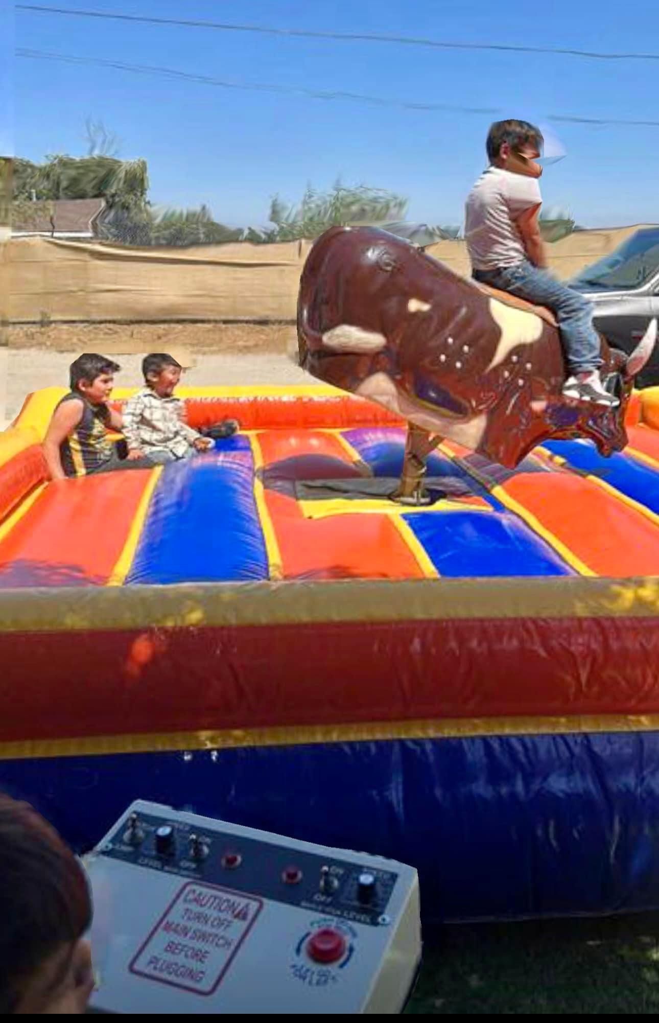 mechanical bull for sale