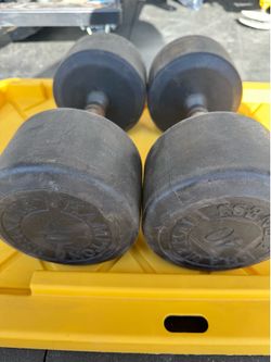 40LB HAMPTON Dumbbells