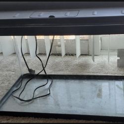 10 Gallon Aquarium With Hood