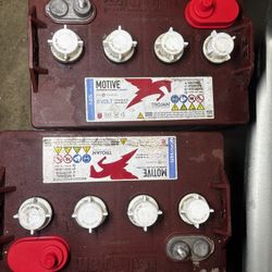 8V Golf Cart Batteries